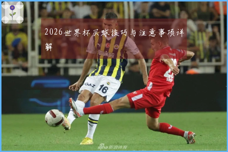2026世界杯买球技巧与注意事项详解