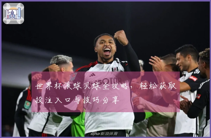 世界杯滚球买球全攻略，轻松获取投注入口与技巧分享