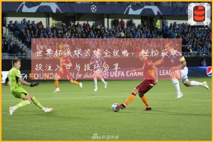 世界杯滚球买球全攻略，轻松获取投注入口与技巧分享