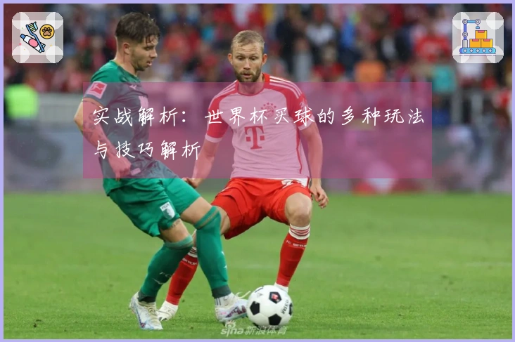 实战解析：世界杯买球的多种玩法与技巧解析