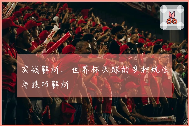 实战解析：世界杯买球的多种玩法与技巧解析