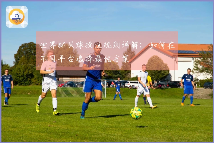 世界杯买球投注规则详解：如何在不同平台选择最优方案