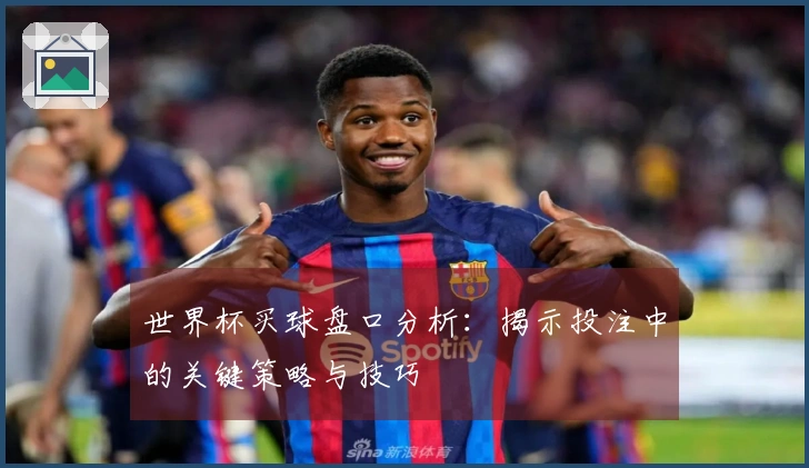 世界杯买球盘口分析：揭示投注中的关键策略与技巧
