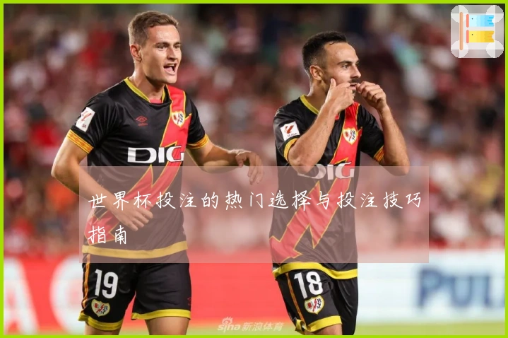 世界杯投注的热门选择与投注技巧指南