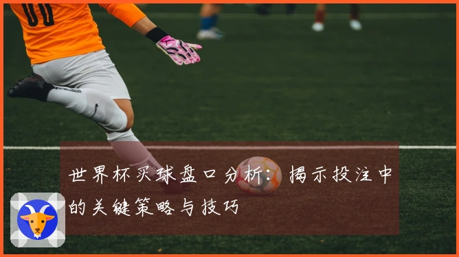 世界杯买球盘口分析：揭示投注中的关键策略与技巧