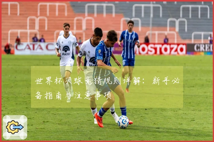 世界杯买球竞猜规则详解：新手必备指南与注意事项