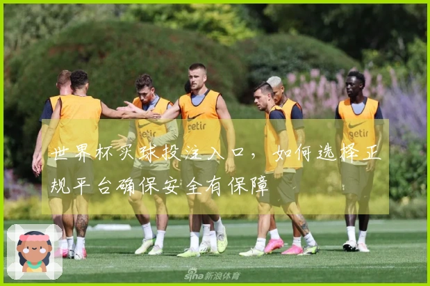 世界杯买球投注入口，如何选择正规平台确保安全有保障