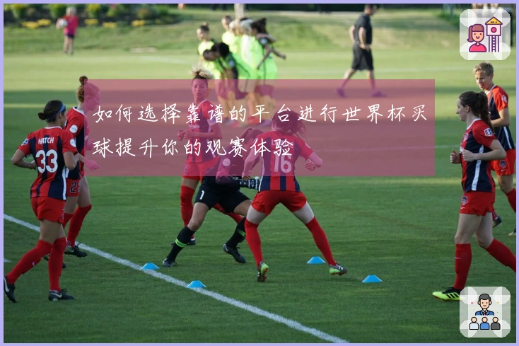 如何选择靠谱的平台进行世界杯买球提升你的观赛体验