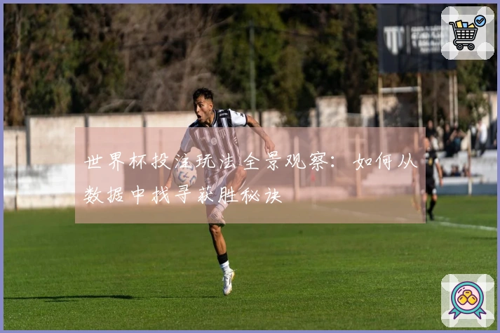 世界杯投注玩法全景观察：如何从数据中找寻获胜秘诀