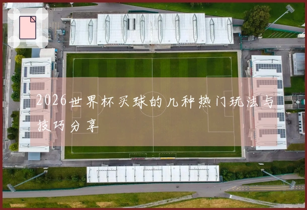 2026世界杯买球的几种热门玩法与技巧分享
