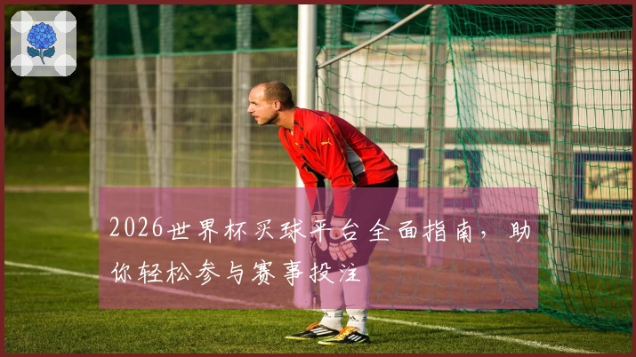 2026世界杯买球平台全面指南，助你轻松参与赛事投注