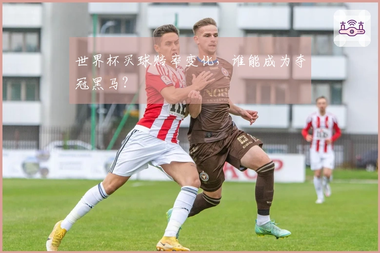 世界杯买球赔率变化，谁能成为夺冠黑马？