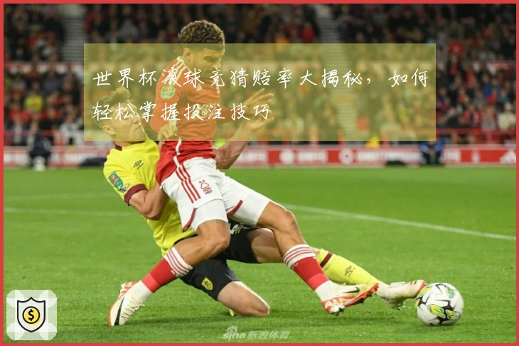 世界杯滚球竞猜赔率大揭秘，如何轻松掌握投注技巧