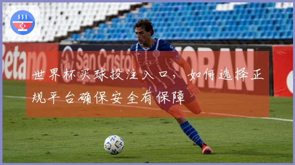 世界杯买球投注入口，如何选择正规平台确保安全有保障
