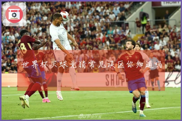 世界杯买球竞猜常见误区你知道吗