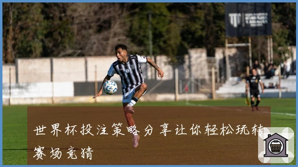 世界杯投注策略分享让你轻松玩转赛场竞猜
