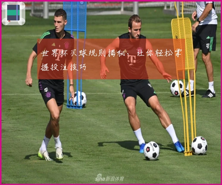 世界杯买球规则揭秘，让你轻松掌握投注技巧