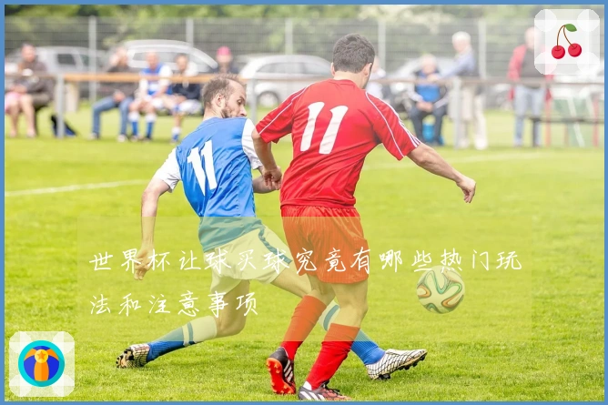 世界杯让球买球究竟有哪些热门玩法和注意事项
