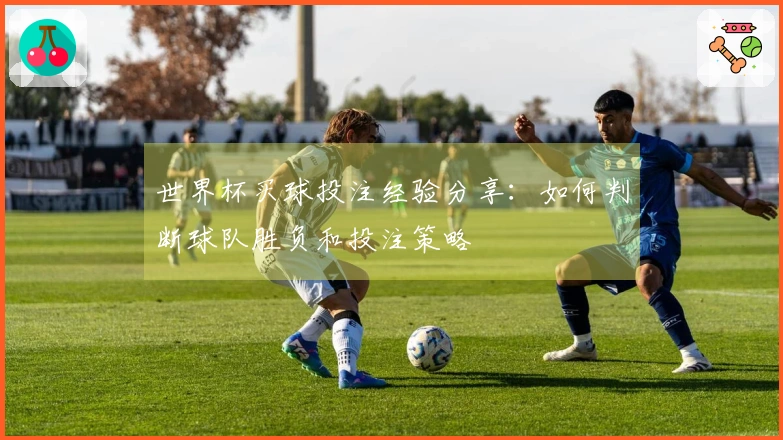 世界杯买球投注经验分享：如何判断球队胜负和投注策略