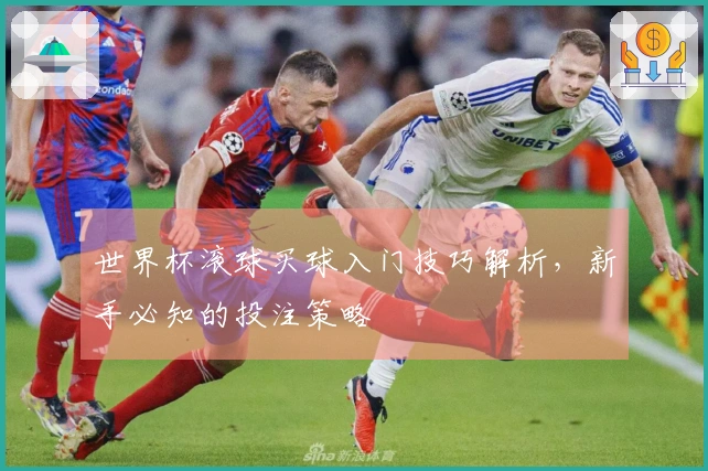 世界杯滚球买球入门技巧解析，新手必知的投注策略