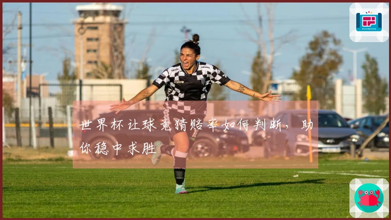 世界杯让球竞猜赔率如何判断,助你稳中求胜