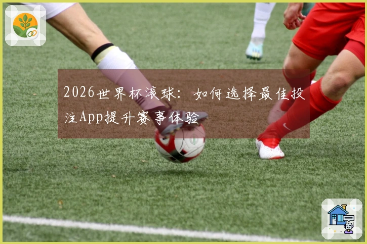 2026世界杯滚球：如何选择最佳投注App提升赛事体验