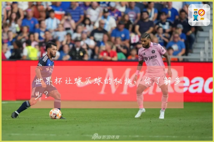 世界杯让球买球的秘诀，你了解多少？