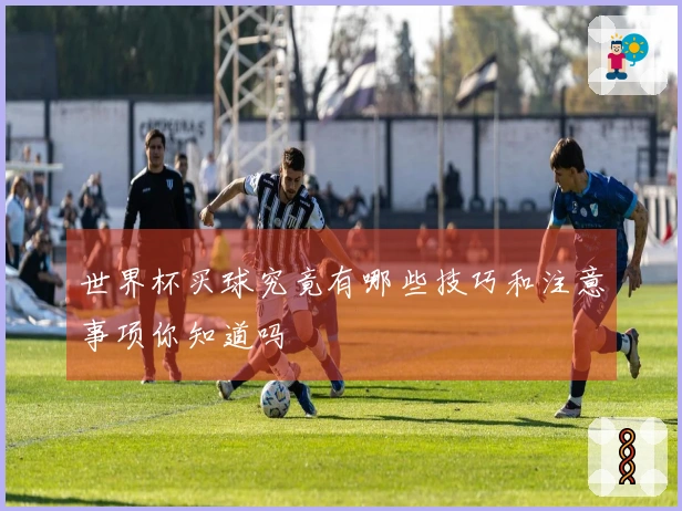 世界杯买球究竟有哪些技巧和注意事项你知道吗