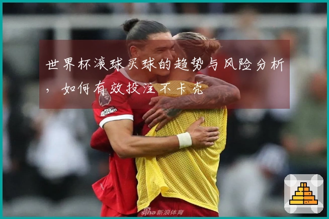 世界杯滚球买球的趋势与风险分析，如何有效投注不卡壳